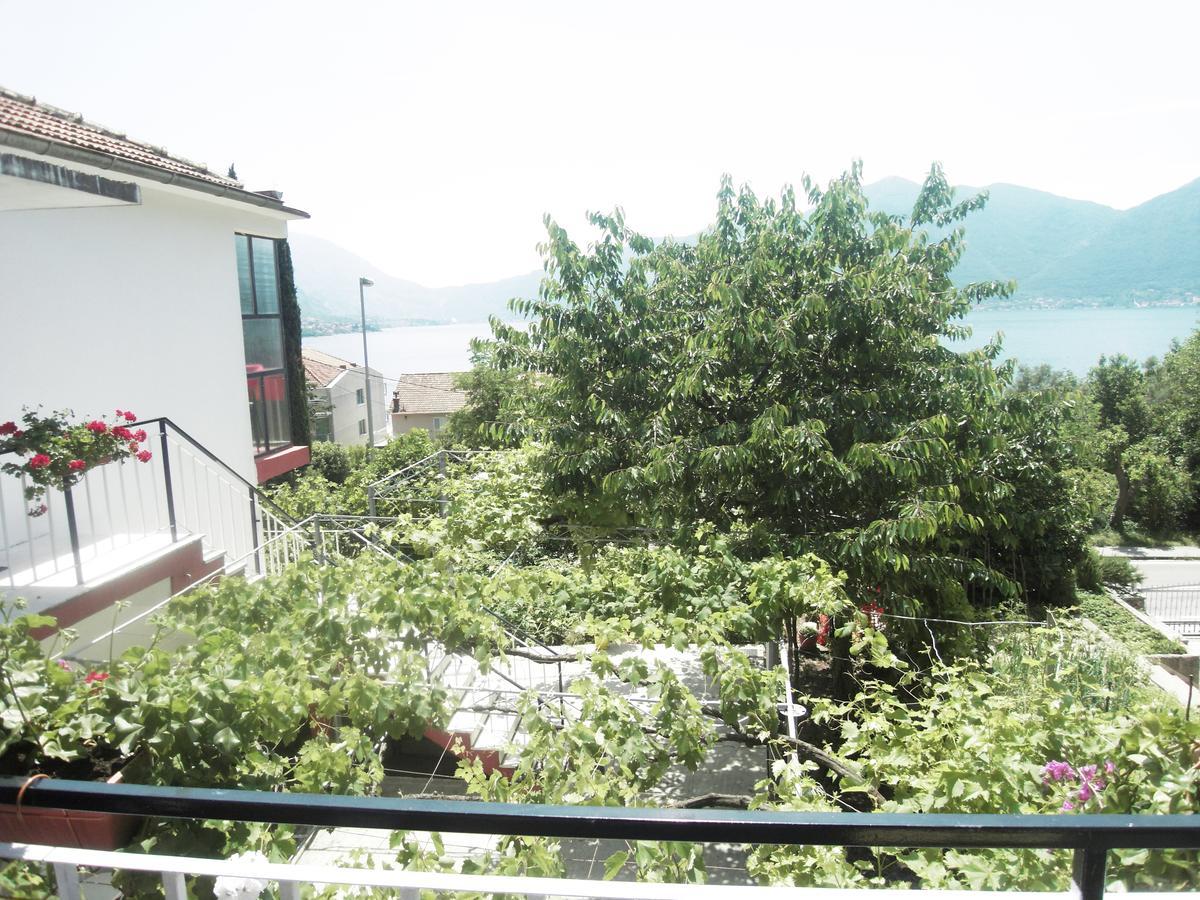 Apartment Ivana Kotor Exteriér fotografie