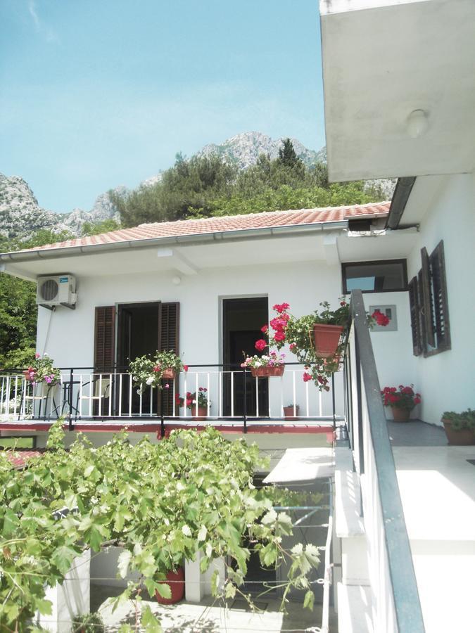Apartment Ivana Kotor Exteriér fotografie