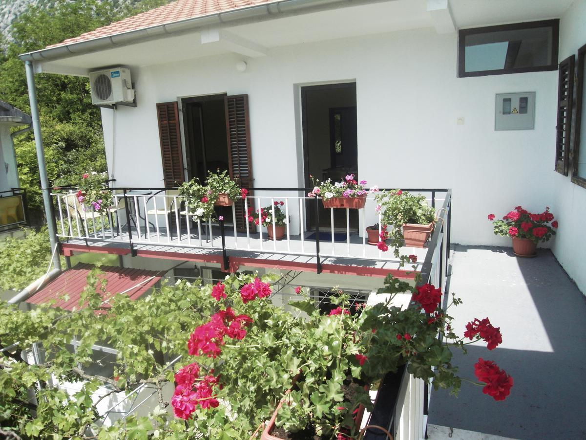 Apartment Ivana Kotor Exteriér fotografie