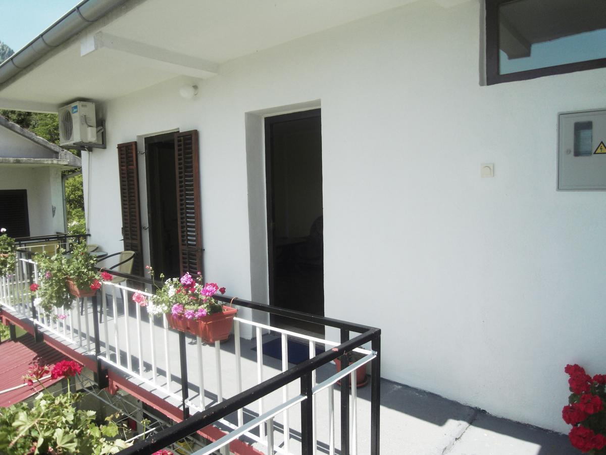 Apartment Ivana Kotor Exteriér fotografie