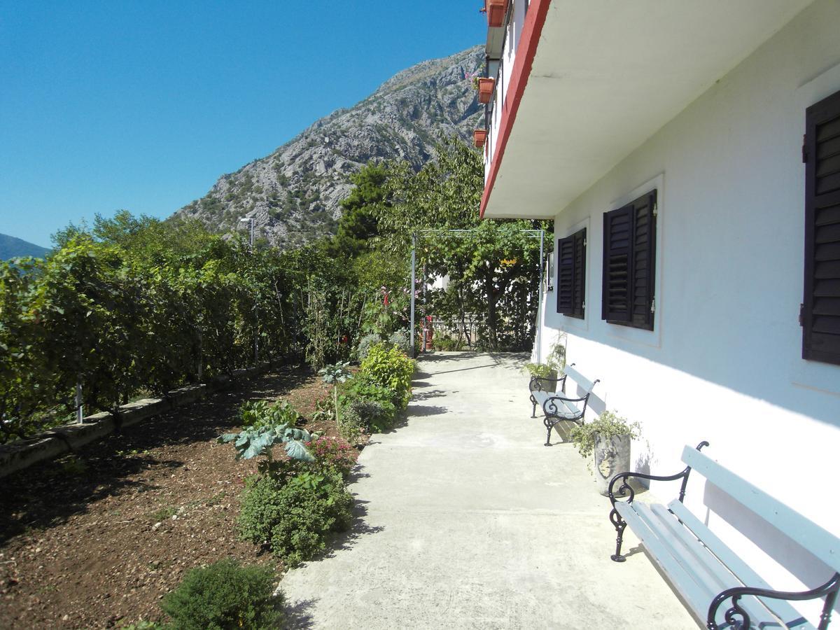 Apartment Ivana Kotor Exteriér fotografie